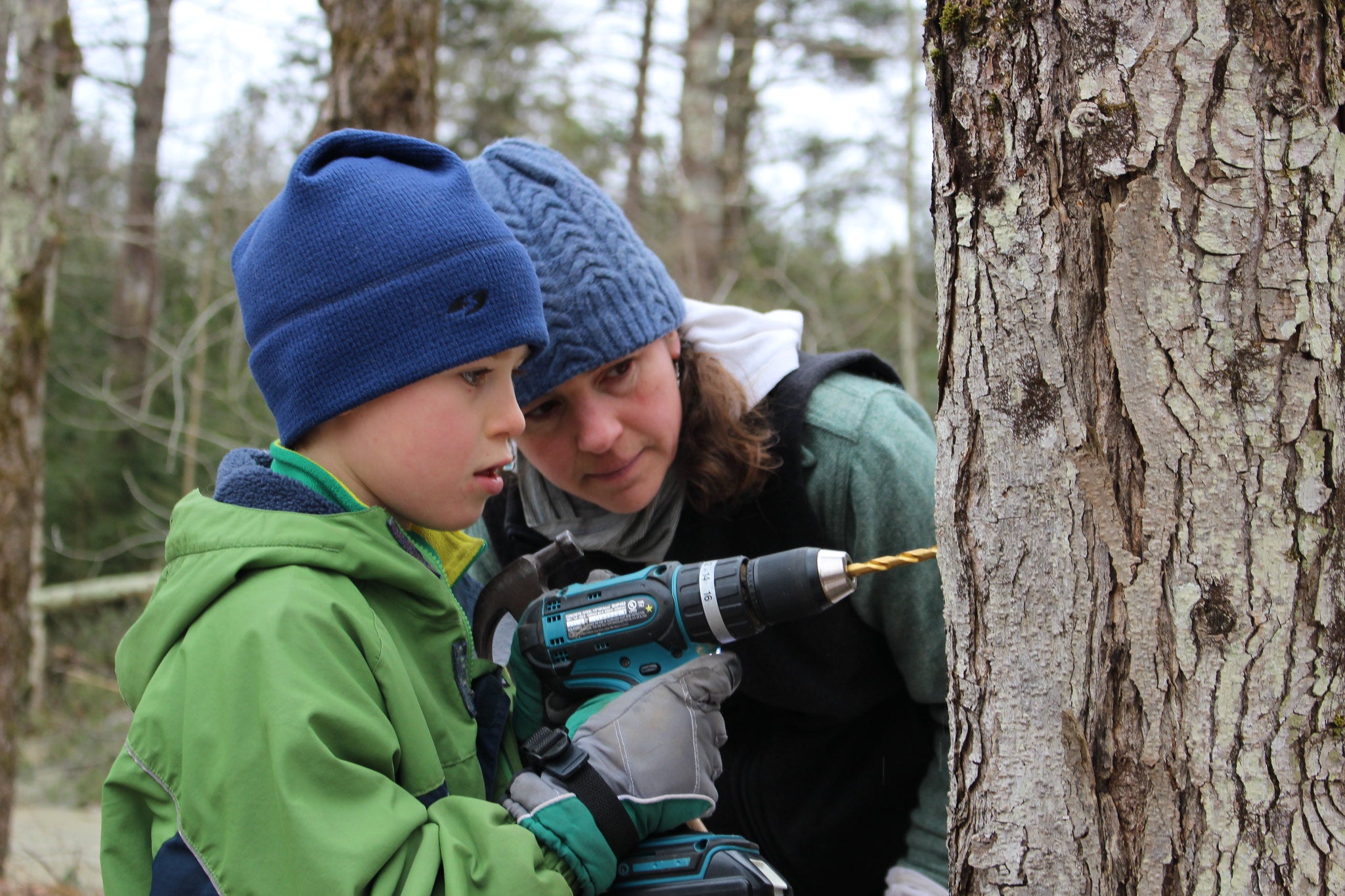 Center Director Kim supervises as her son Remy uses a drill to tap a maple tree.